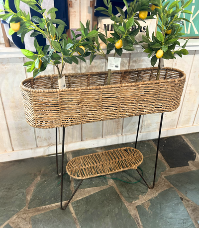 Kalalou Seagrass Planter